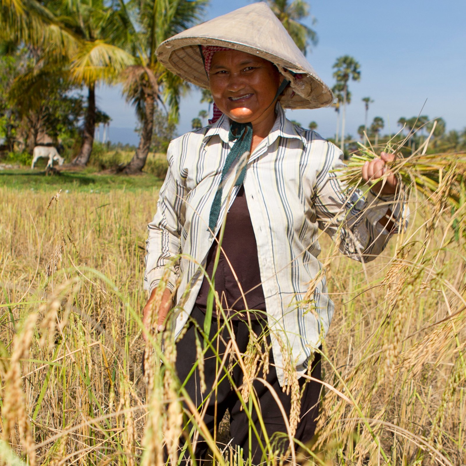 Read more about the article The Future of Farming: Growing Beyond Boundaries