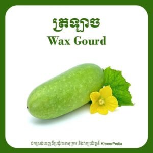 Wax Gourd