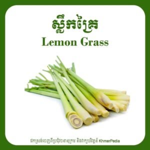 Lemon Grass