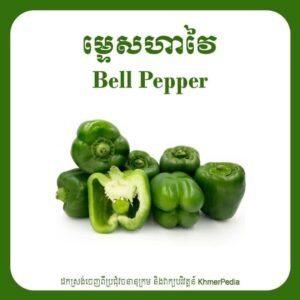 Bell Pepper